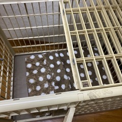 犬　ゲージの画像