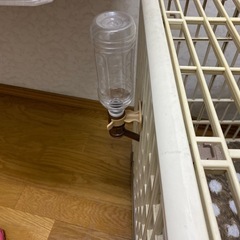 犬　ゲージの画像