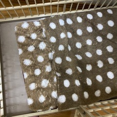 犬　ゲージの画像