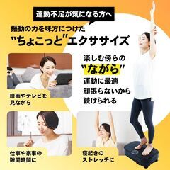 【ブルブルマシン】STEADY 振動マシンの画像