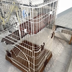 猫ゲージ(キャットゲージ)の画像
