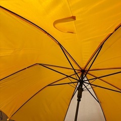 小学生　黄色　傘　50センチの画像