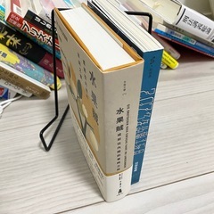 中国語(繁体字)の本2冊の画像