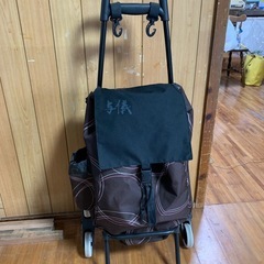 ショッピングキャリーの画像