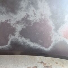 ホンダ　N-ONE JG1 ボンネット（プレミアム ディープ・モカ）の画像