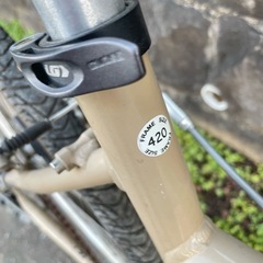 ルイガノ　クロスバイクTR-IIの画像