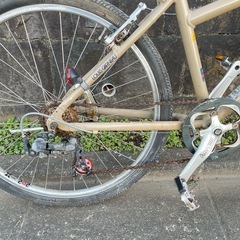 ルイガノ　クロスバイクTR-IIの画像