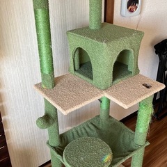 キャットタワーの画像