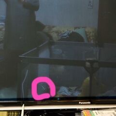 【まとめて100円】50インチ プラズマTV＋ホームシアター（直接引取りのみ）の画像