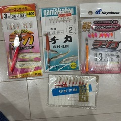 チカ釣り等の画像