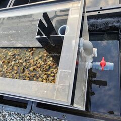 90cmアクリル水槽【取引中】の画像