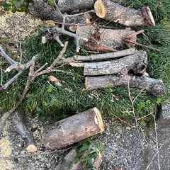 薪 柿の木 キャンプ　バーベキューの画像