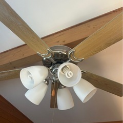 シーリングライトファンの画像