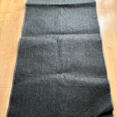 電気カーペットの画像