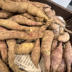 小さなさつまいもの画像