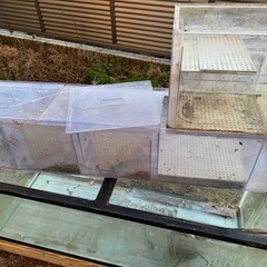 【取引中】1200水槽セットの画像
