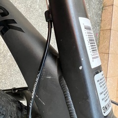 ファットバイクです。の画像