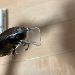 ルアーとラインの画像