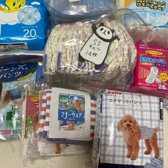 犬用おむつSS　の画像