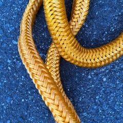 牽引ロープの画像