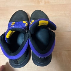 レブロンのバッシュの画像