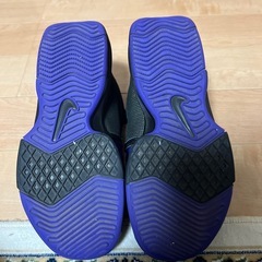 レブロンのバッシュの画像