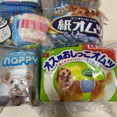 犬用おむつS  　の画像