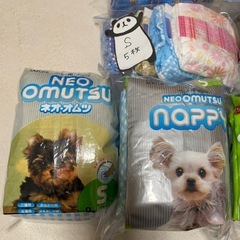 犬用おむつS  　の画像