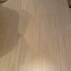 【受付終了】ウッドカーペットの画像