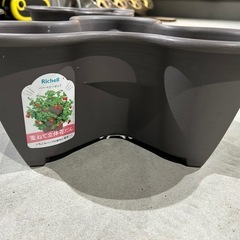 いちご用植木鉢の画像