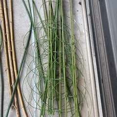 支柱　いっぱい　園芸用品　リング支柱の画像