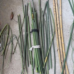 支柱　いっぱい　園芸用品　リング支柱の画像