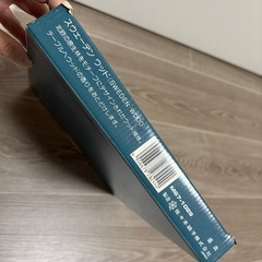 スェーデンウッド　盛皿の画像