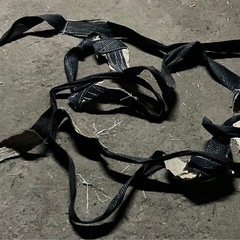 トンパック要らないですか？の画像