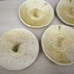 食器 皿 小皿 美濃焼 黄瀬戸 銘々皿 5枚 直径 約15cm 中古 共箱付き 苫小牧西店の画像