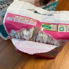 ペットシーツ　　犬用オムツの画像