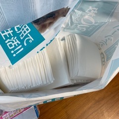 ペットシーツ　　犬用オムツの画像