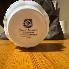 イングリッシュローズ　シュガーボールの画像