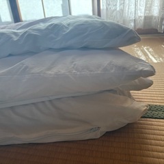 掛け布団⑥ ピンク　白 和柄 掛布団 の画像