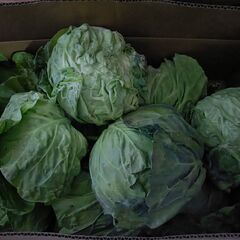 残りわずか！！第８弾【野菜いかがでしょうか？】の画像