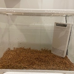 GEX インテリア水槽セット　スリムLED +静音フィルターの画像