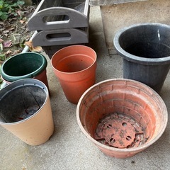 プランター　鉢植え　植木鉢　たくさんの画像