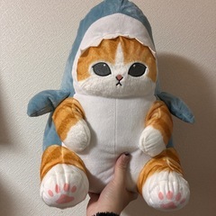 美品✨モフサンド　サメにゃん　超BIGぬいぐるみの画像