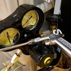 複数🈹有 　🐟インペリアルゼブラプレコ🐟の画像