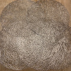 キラキラ　 ランチョマット5枚の画像