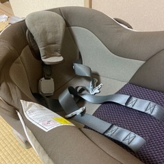 チャイルドの画像