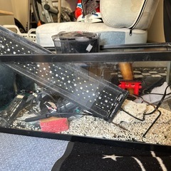 難あり水槽セット2025/12/30昼廃棄 の画像