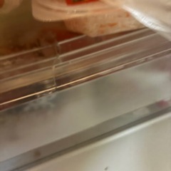 TOSHIBA339L冷蔵庫ジャングルまだ使えます。の画像