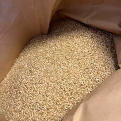 令和7 年産新米30kg玄米(三木市産キヌヒカリ)
の画像