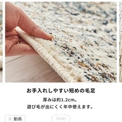 ラグの画像